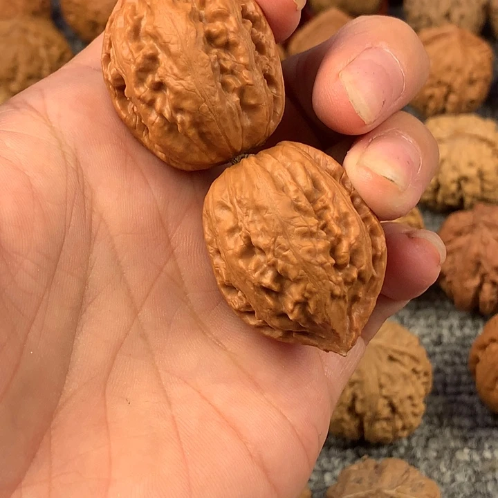 大枣。