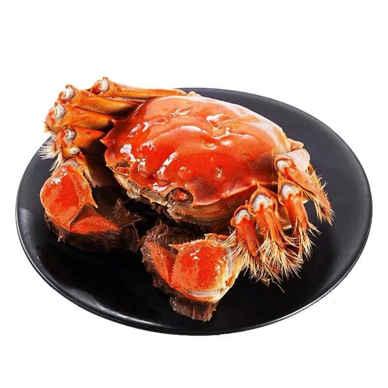 预售-鲜活江苏大闸蟹10只母蟹（1.7-2两）