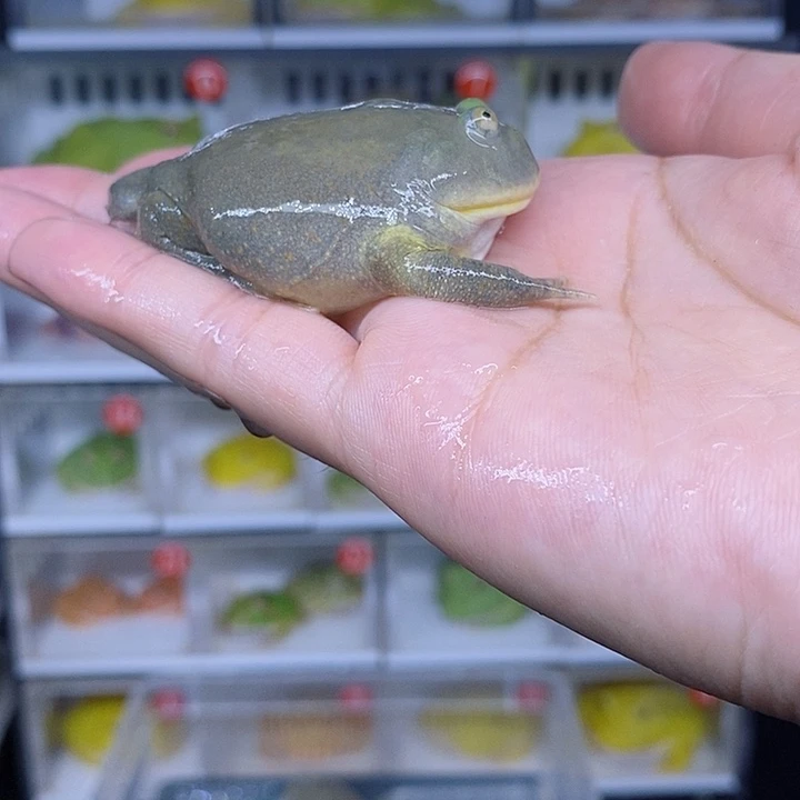特价秒杀特价原价