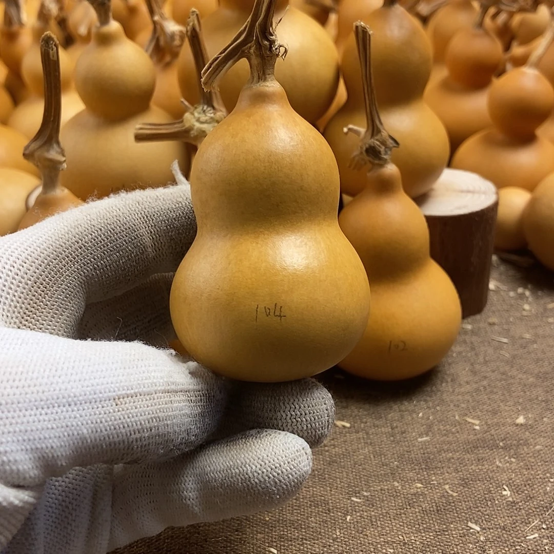 文玩葫芦 完美主义者 慎拍104