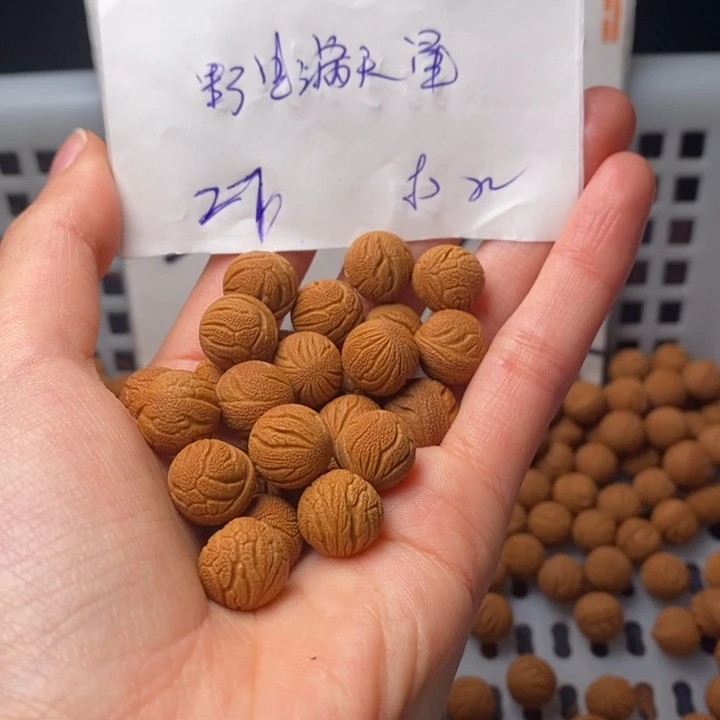 银***河桃核手串12mm左右野生满天星27颗（打孔）