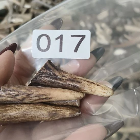 祥***和鹿角鹿角鹿角鹿角鹿角鹿角