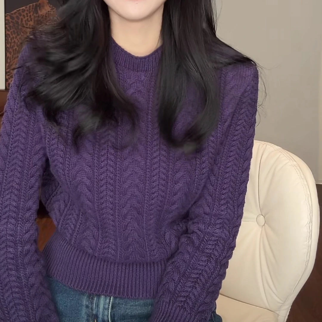 韩系麻花小立领收腰厚款毛针织衫2025新款秋冬修身气质纯色上衣