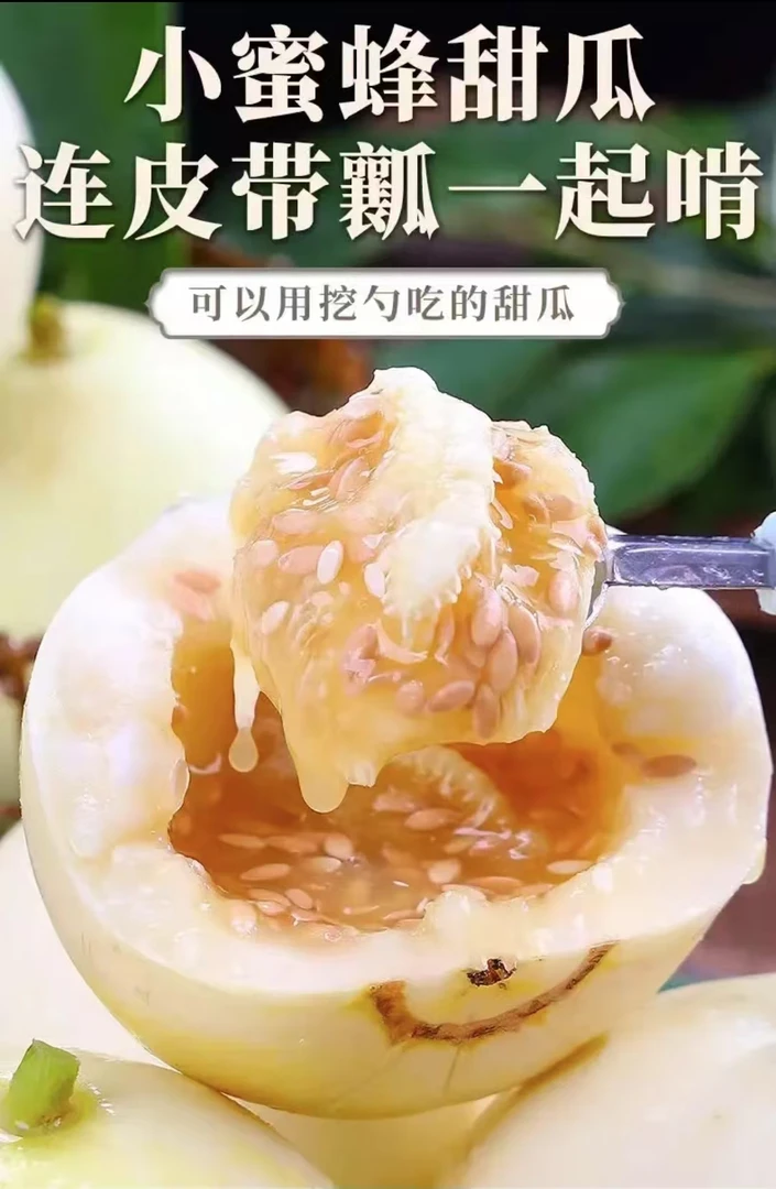 山东小蜜罐甜瓜蜜瓜香瓜肉质脆甜蜜罐3斤5斤香甜现摘现发新鲜