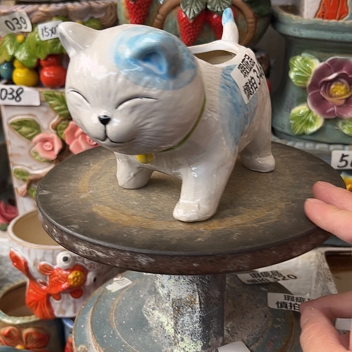 粗陶材质多肉花盆