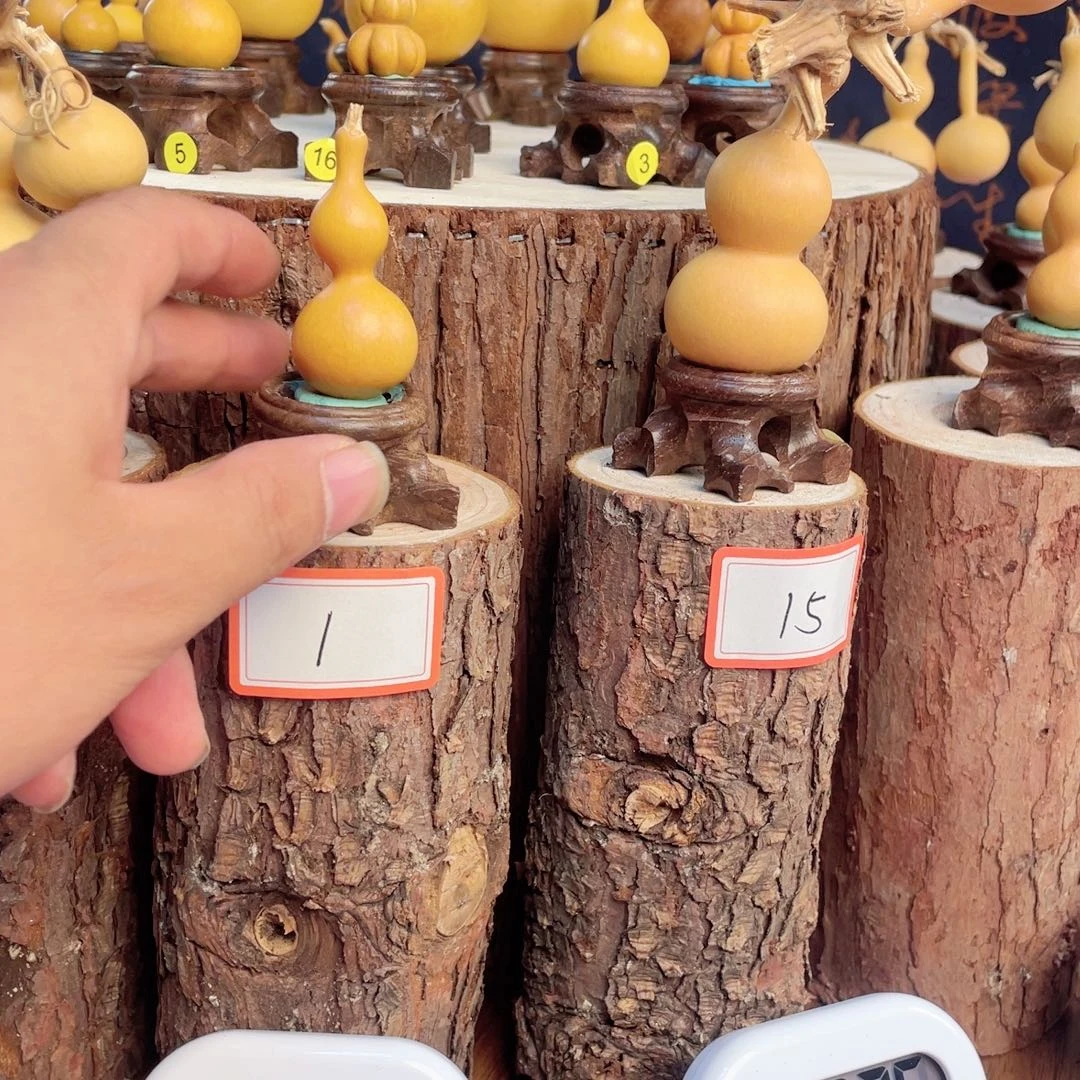 世***木摸摸摸摸摸摸摸摸摸摸哦