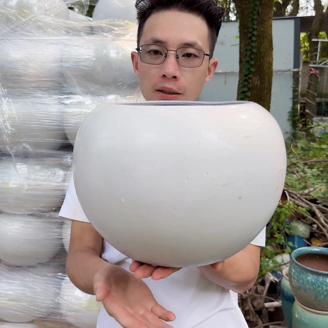 紫砂花盆口22高23（球白色一个