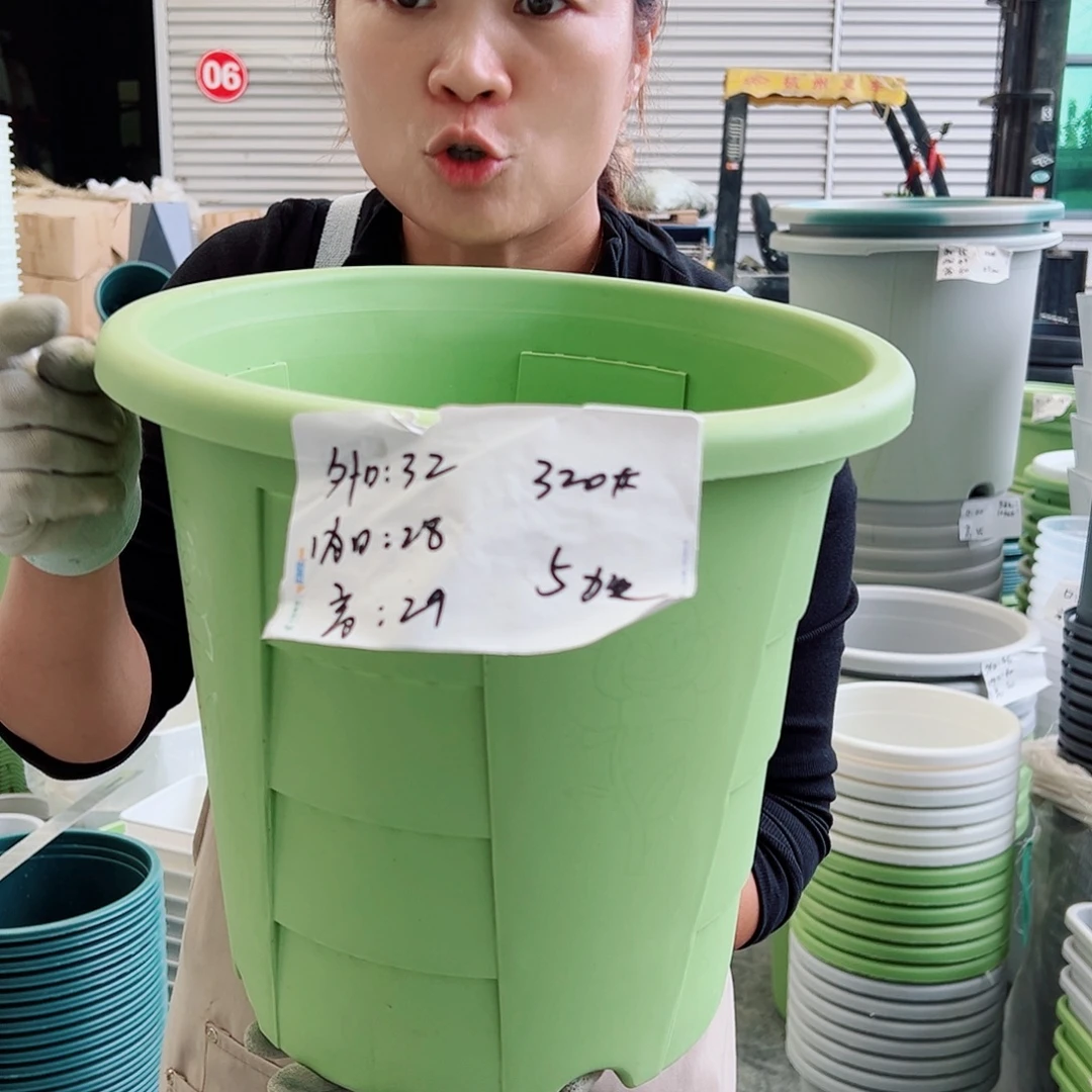 玫瑰320#果绿色5个无托