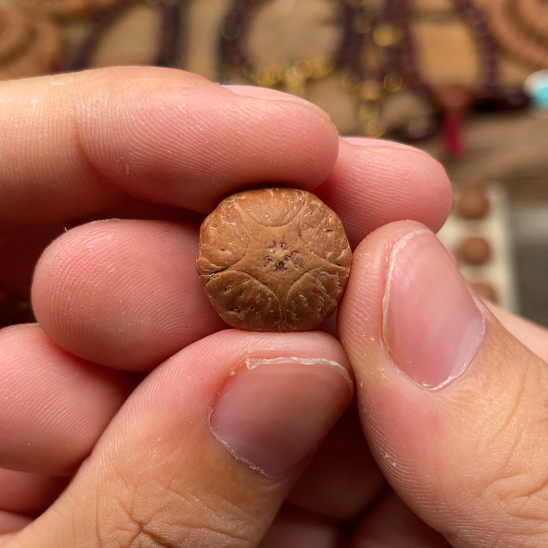 大***黑凤眼菩提吊坠我也不知道我为什么