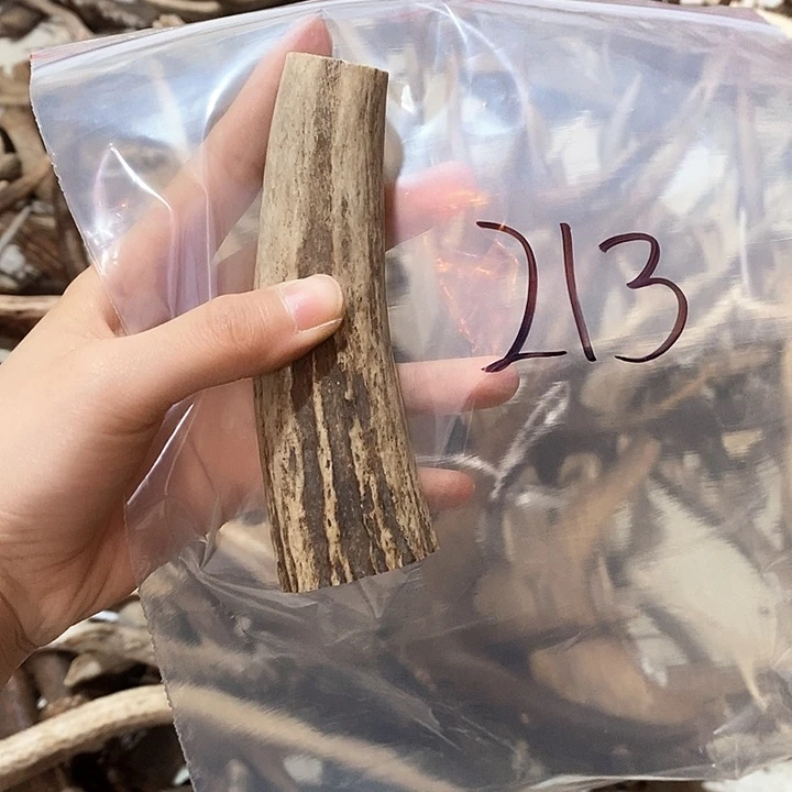鹿角鹿角鹿角鹿角鹿角鹿角