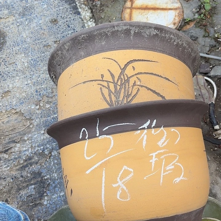 紫砂花盆紫砂的味道