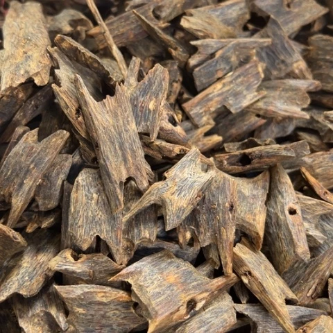 沉香摆件乌身一代苗20克多样性发1份