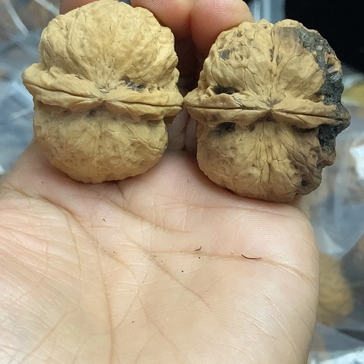 文玩核桃把件云南铁核桃基地91