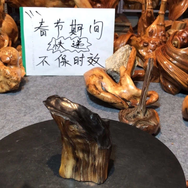 柏木（崖柏）蚊*崖柏27