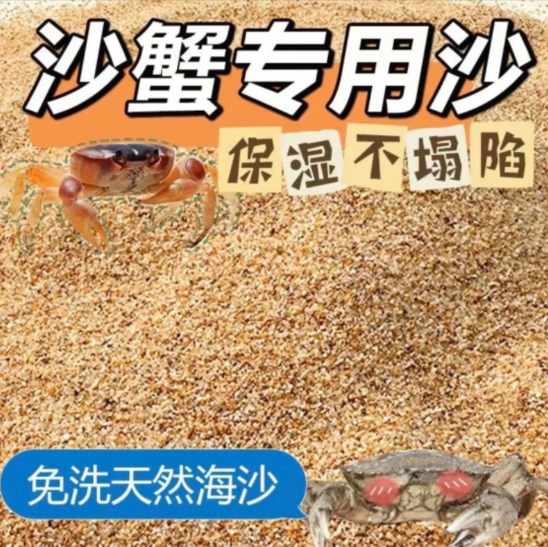 宠物沙蟹专用海沙保湿不塌陷