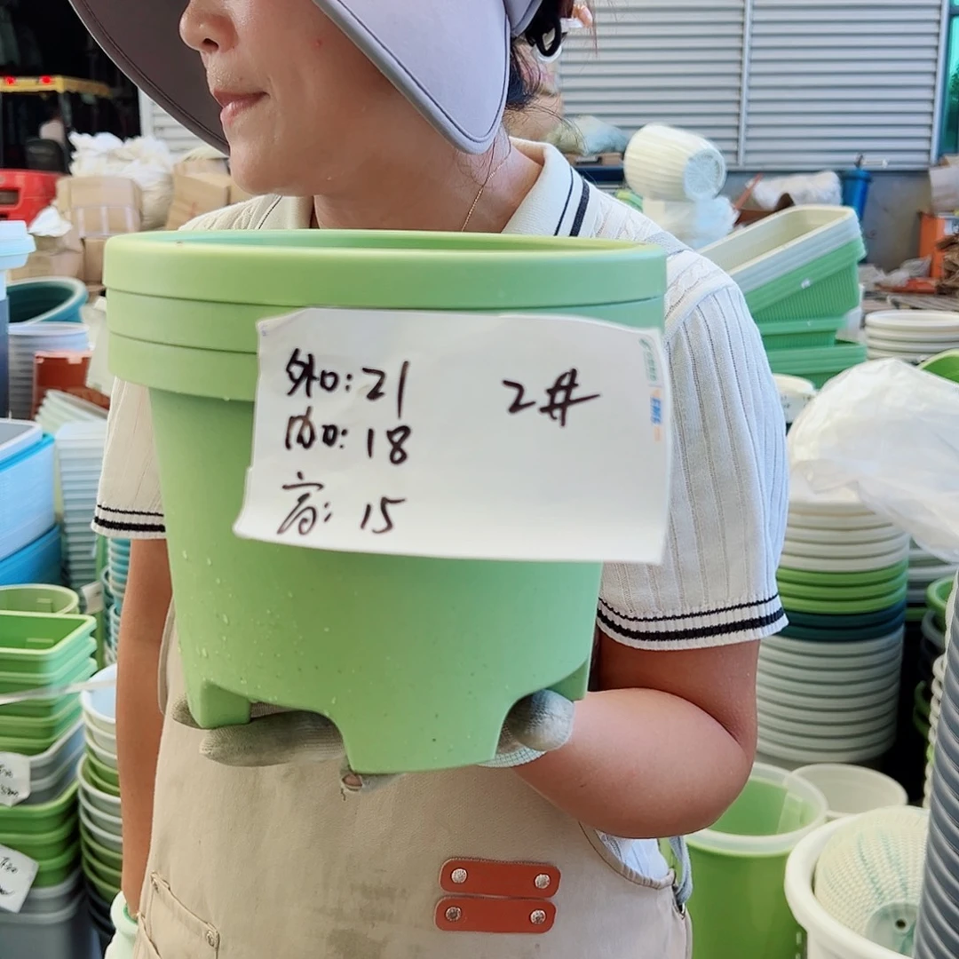 球根盆2#果绿色8个无托