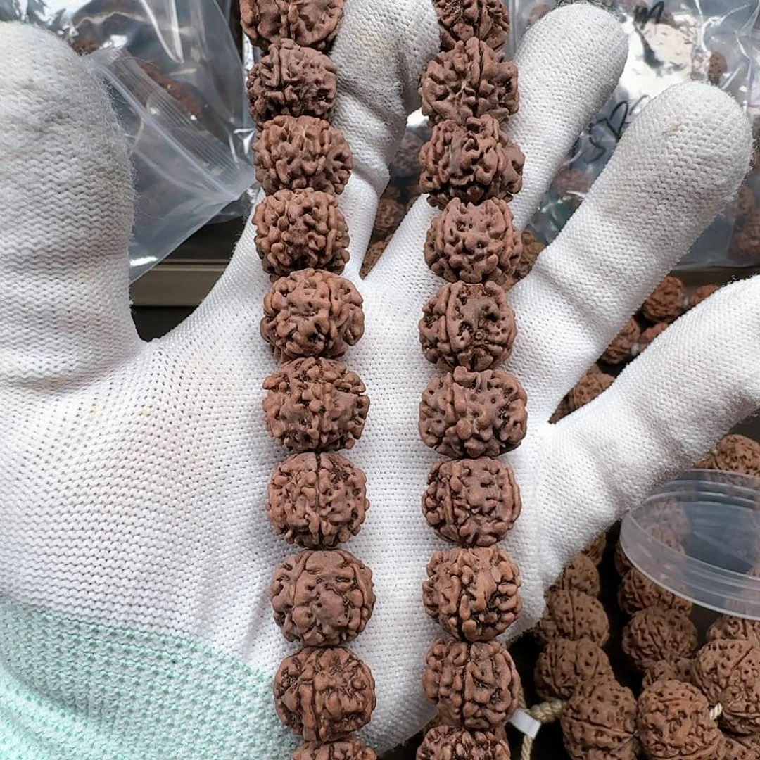 金刚菩提手串城**酒龙脊梅花塔链