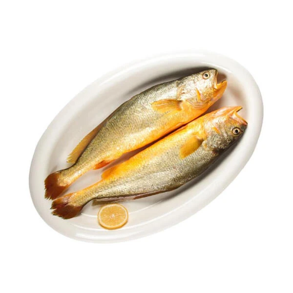 深水大黄花鱼 2条单条净鱼重量≥300g