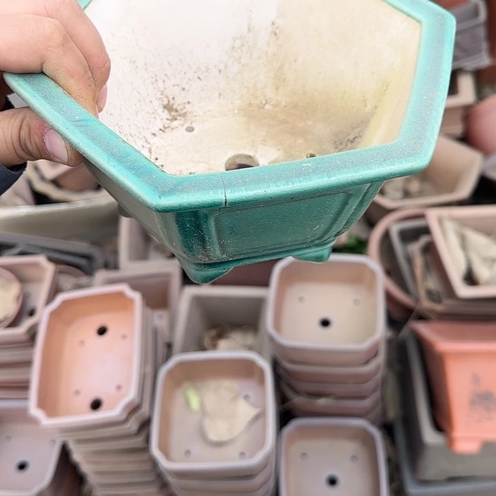 这几句词就写成我最大爱吃鱼
