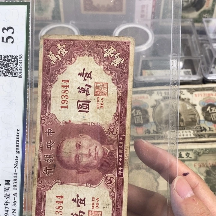 指定。