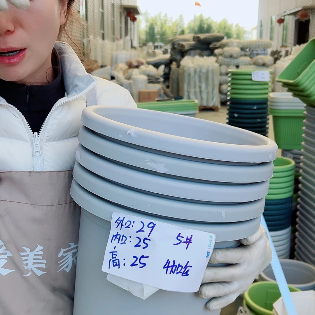 四季盆5#灰白5个无托