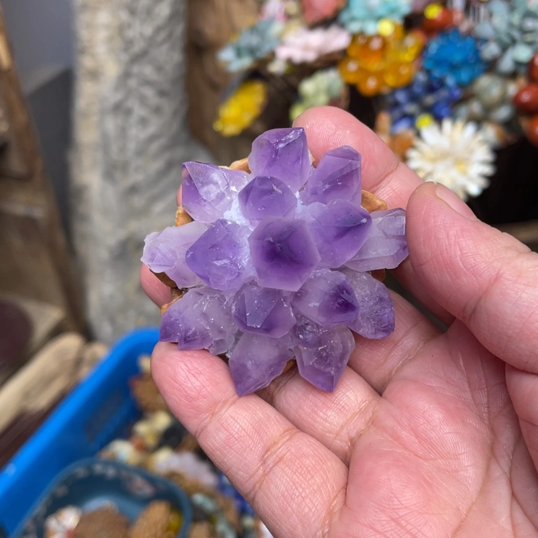 核桃木/黑胡桃（胡桃木）丽****飞381