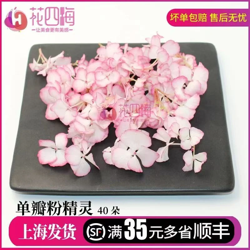 新鲜单瓣粉精灵 粉色边绣球 酒店西餐摆盘菜装饰餐饮摆盘鲜花草