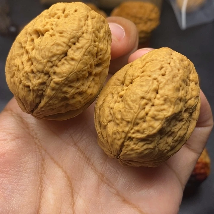 把件文玩核桃43尺脑纹金蟾