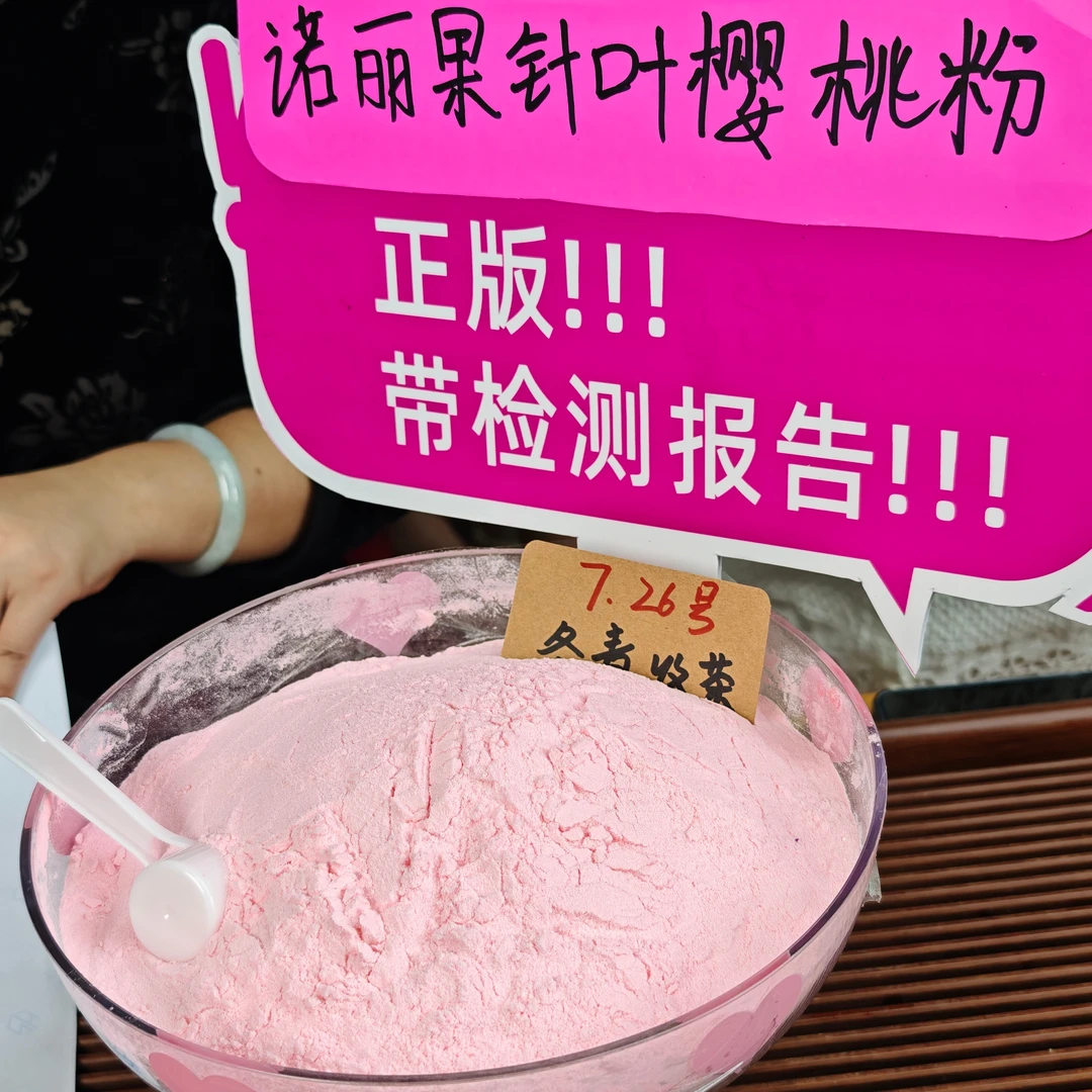 诺丽果针叶樱桃粉 正版带检测报告 冬青收茶