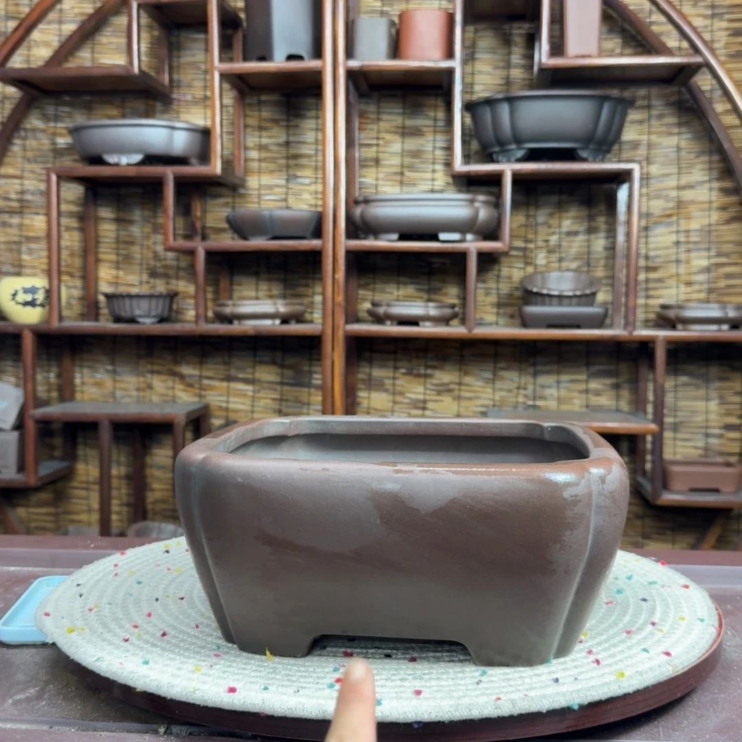 花盆紫砂我也想你啊我