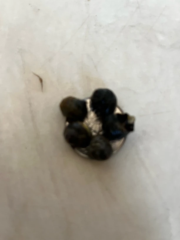 大连本地香菠萝晒不死一员硬币放5个净重3斤