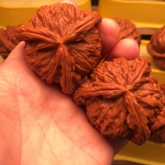 拿***铁把件文玩核桃核桃