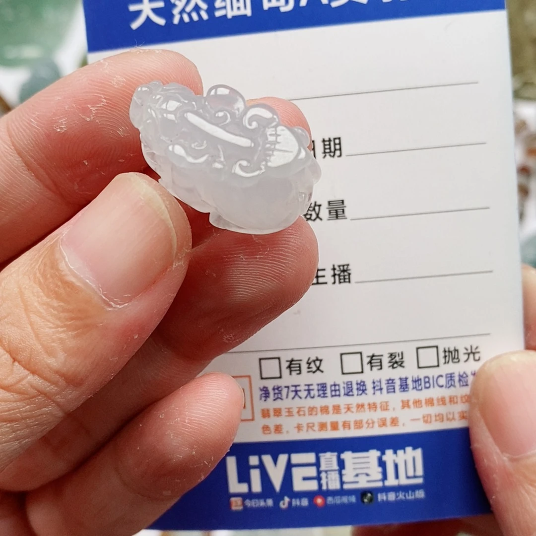 翡翠未镶嵌颈饰貔貅