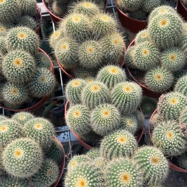 恭喜你了哈哈哈哈哈