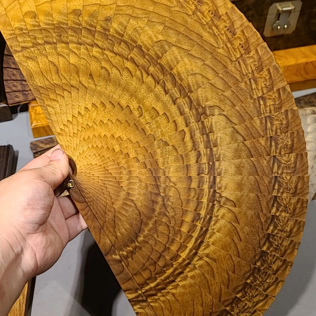 楠木M**于23-24苏扇金丝楠木小叶桢楠