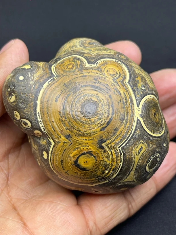 阿拉善奇石摆件 盆景石