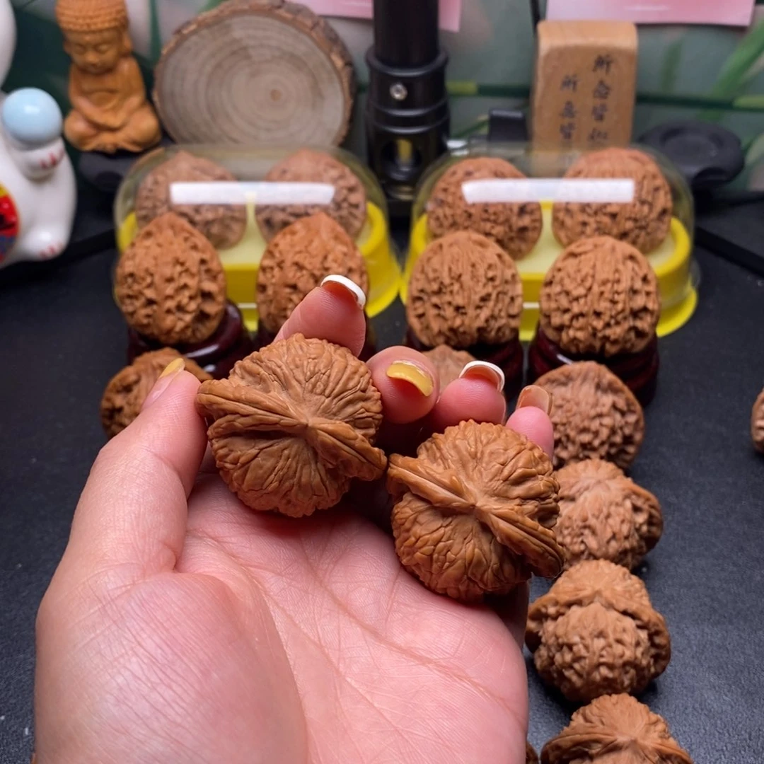 核桃?****球白狮子，尺寸40