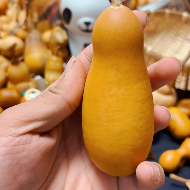 G****y88888888888888888888