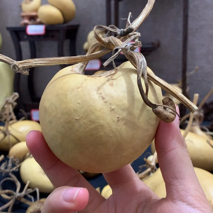 撸***生葫芦葫芦好可爱呀