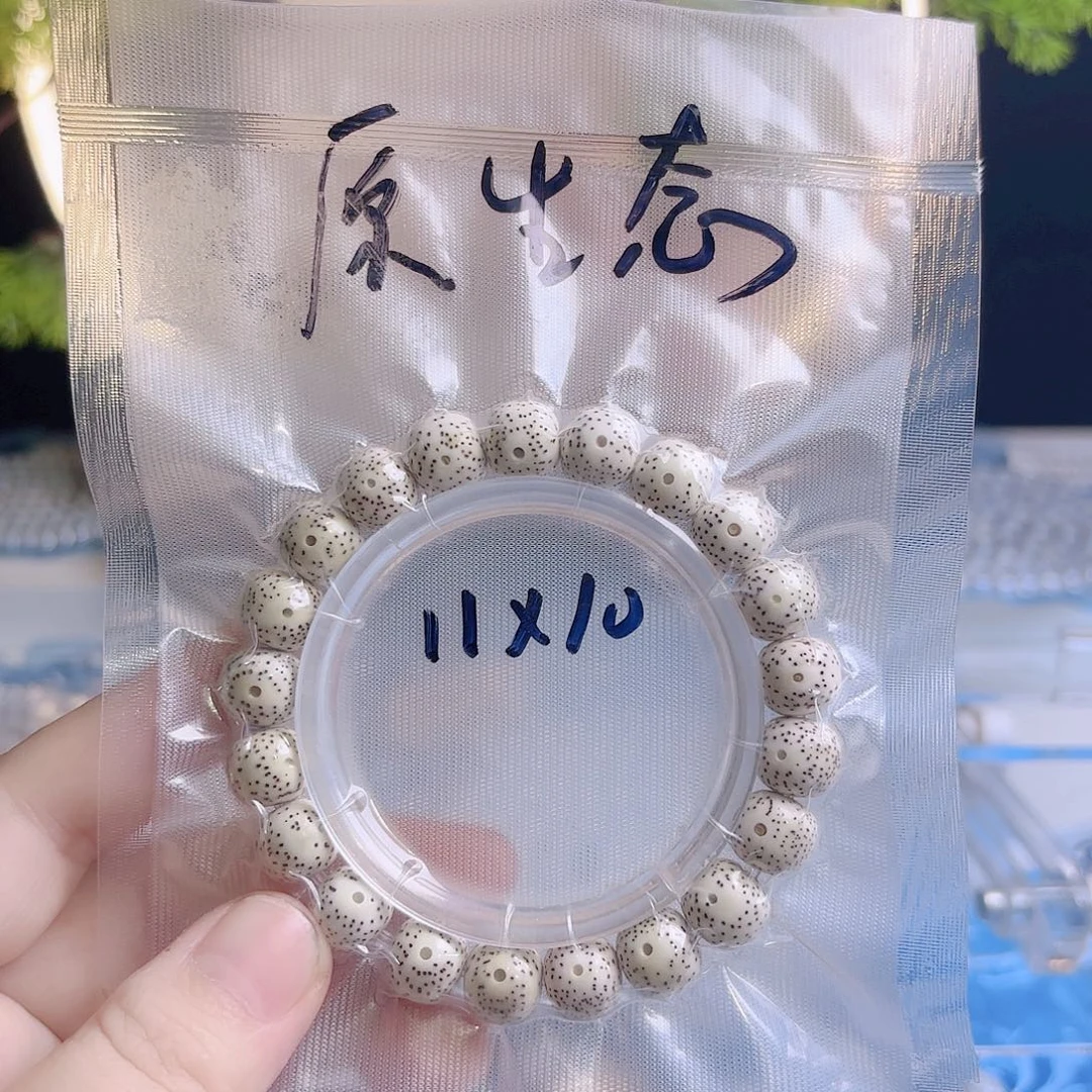 @***張吊坠菩提根/象牙果