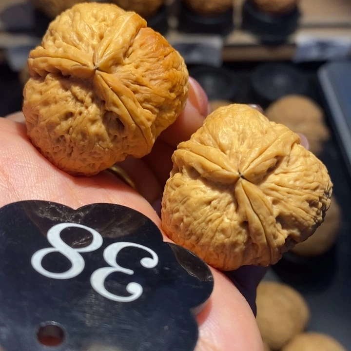 核桃豆包三棱尺寸33