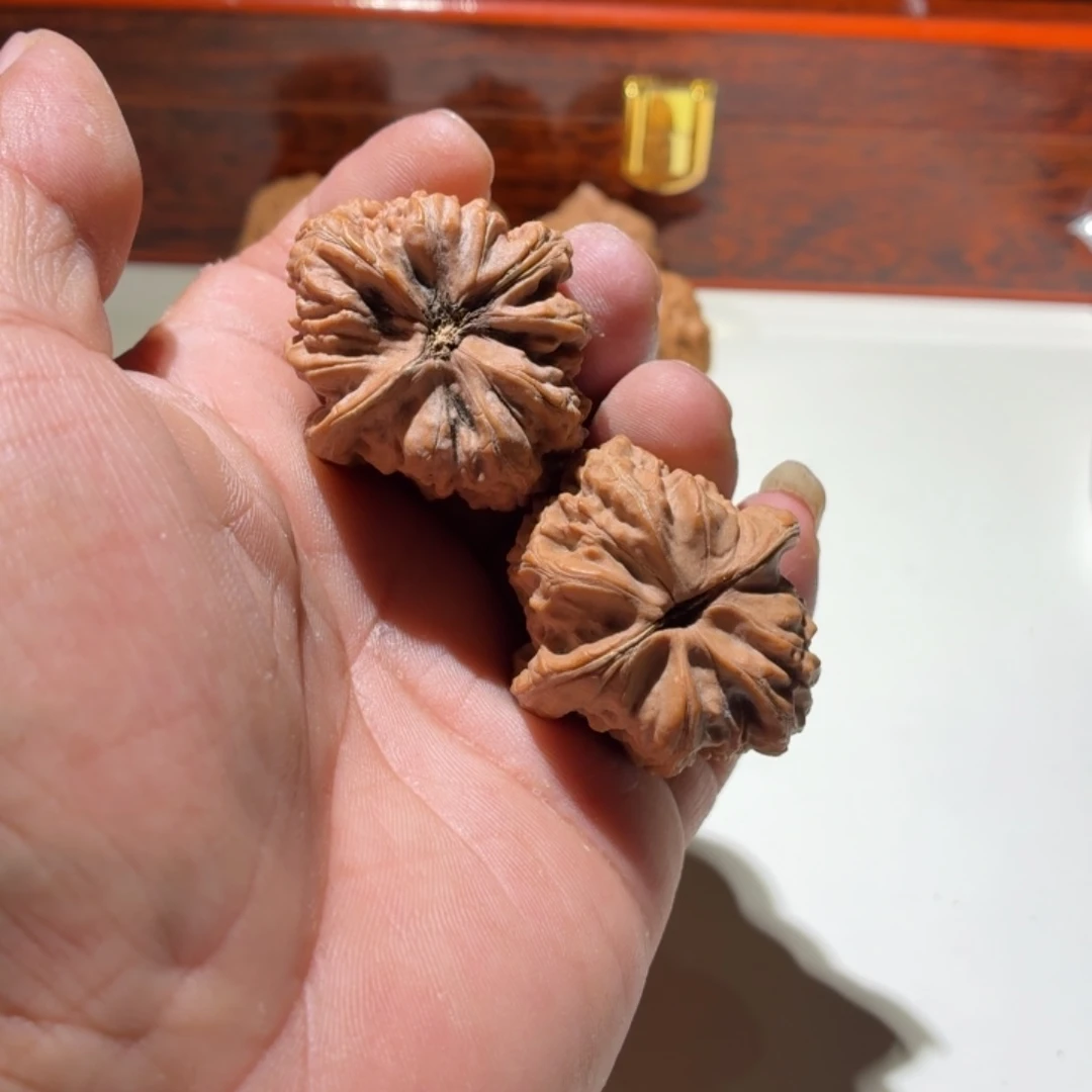 文玩核桃把件苏**.赤龙鸡心