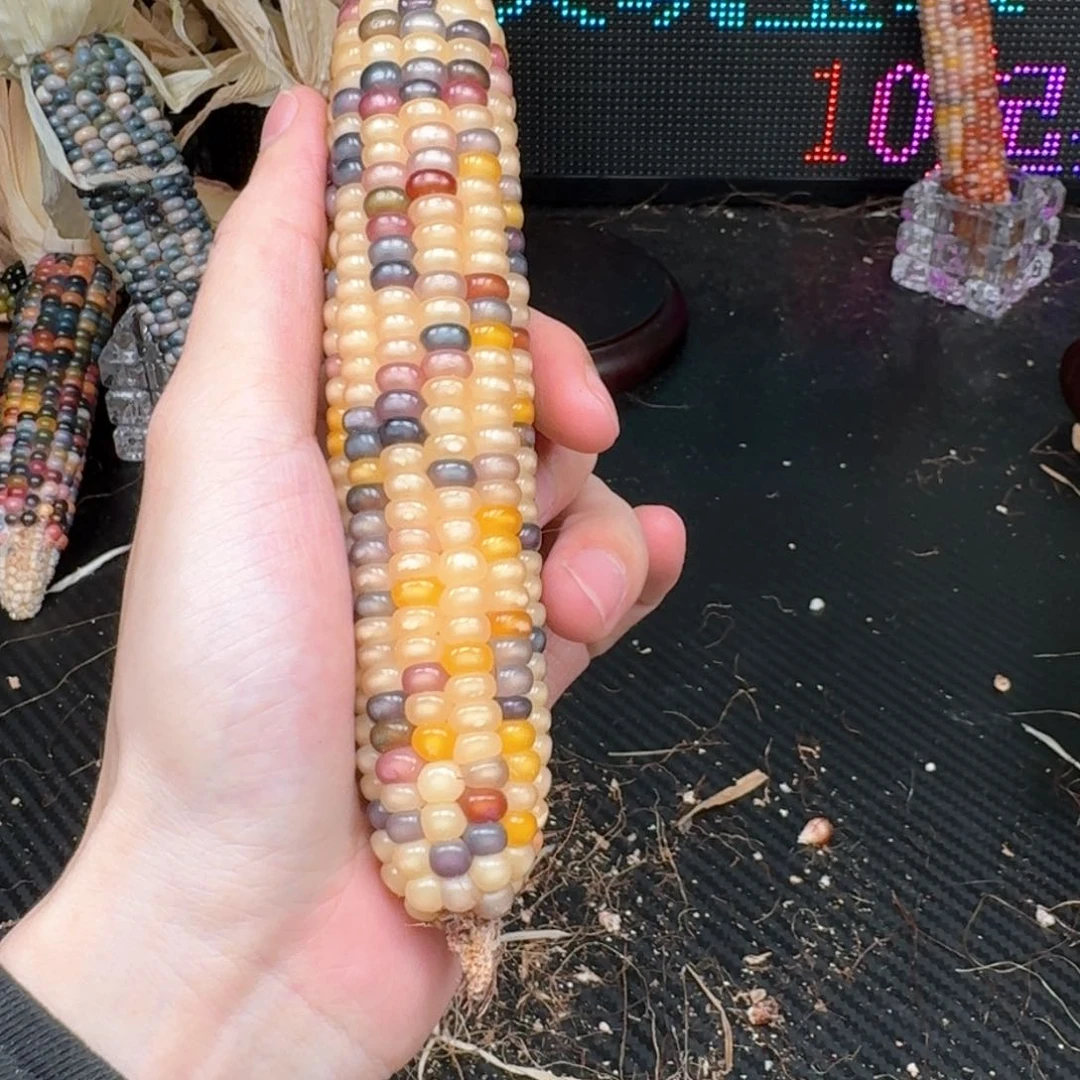 柏香籽/百香籽吊坠唤