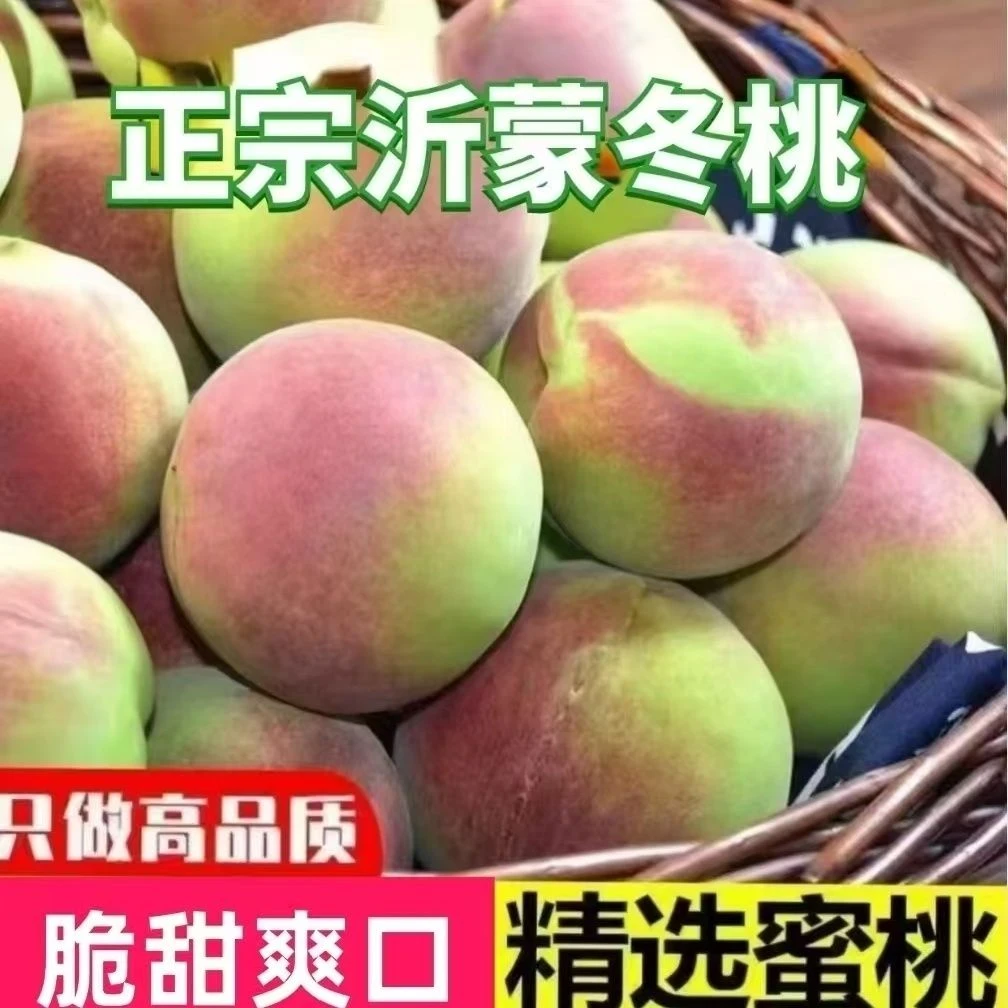 新鲜正宗山东沂蒙山冬桃蜜桃青皮脆桃脆毛桃脆桃冬桃蜜桃当季水果