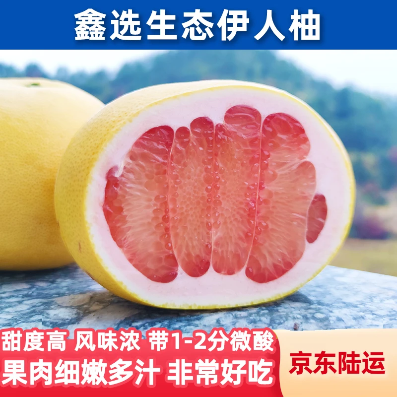 鑫选 生态伊人柚5-10斤 甜酸可口清甜爆汁新鲜采摘柚子京东直发