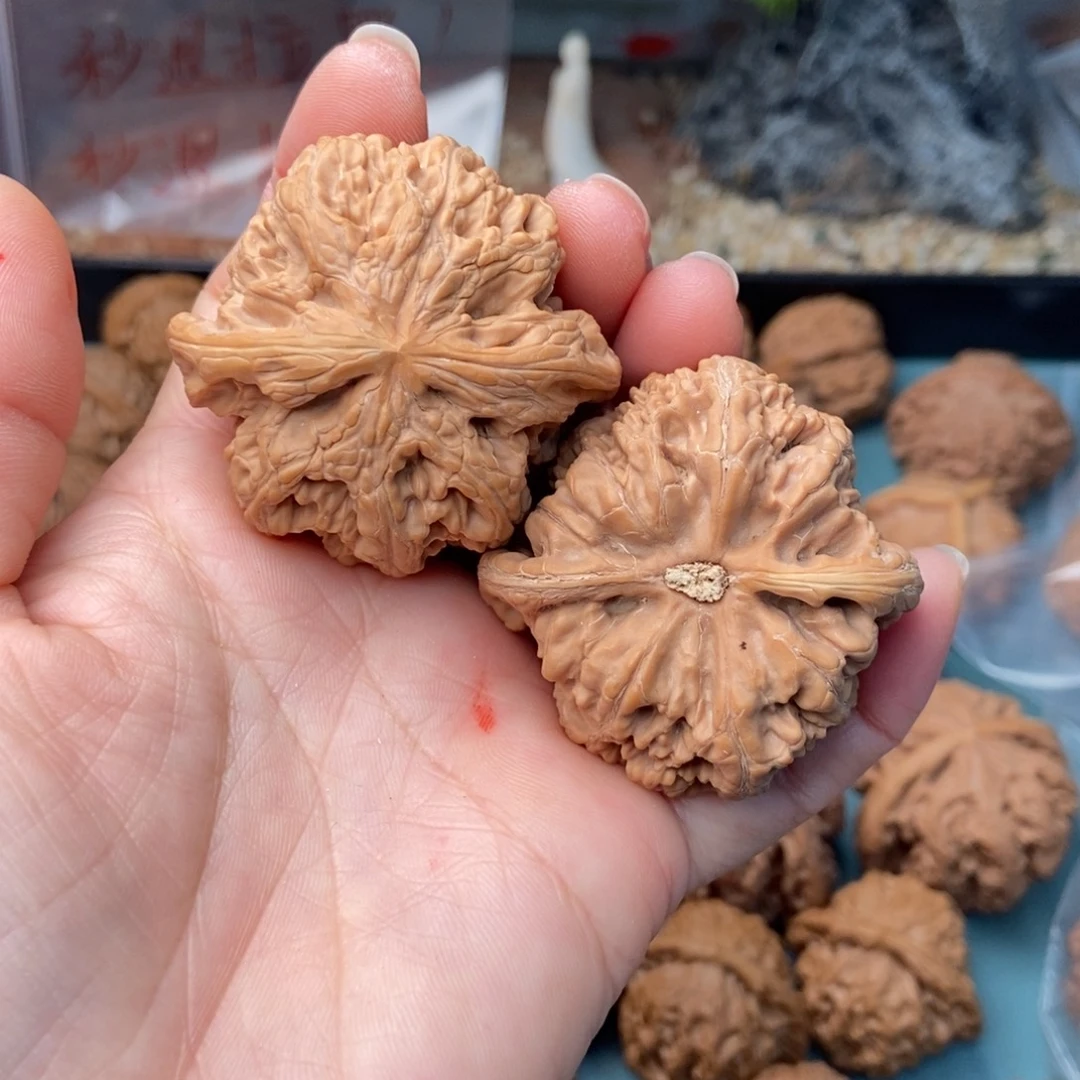 文玩核桃把件粗筋21