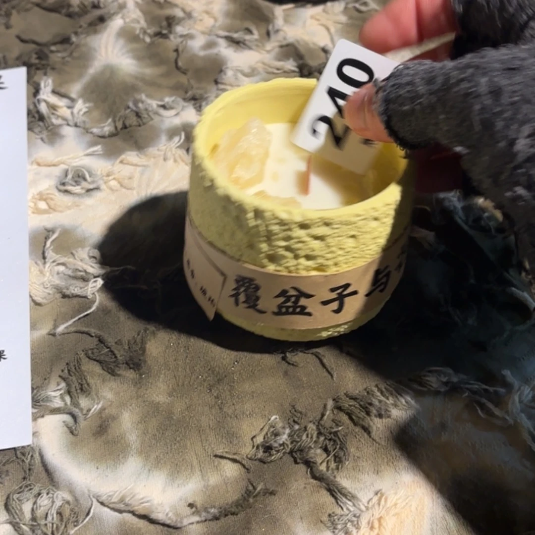 瓷片禧*年可爱的犹犹豫豫犹犹豫豫