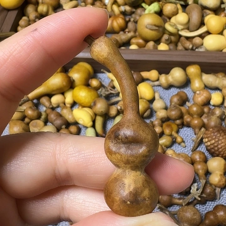 懒**ᐝ我的小可爱们都好可爱