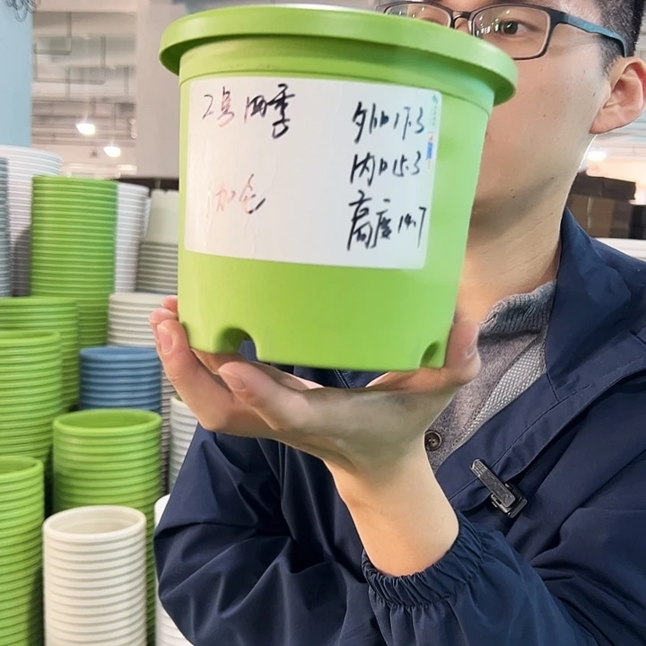 特价2号四季口17.3高14.7果绿无托10只