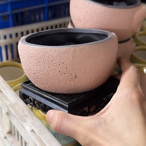 ·［送～白给塑料托盘］·微瑕脱釉